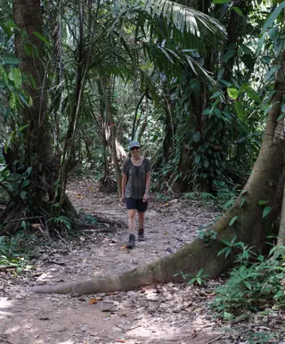 Durch Primärregenwald wandern im Tapanti Nationalpark